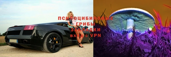a pvp Бугульма