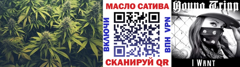 Дистиллят ТГК концентрат  где купить наркотик  ссылка на мегу ссылки  Шарья 