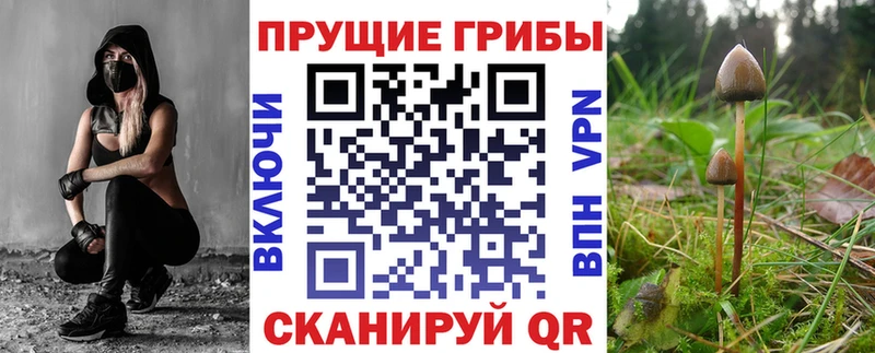 Галлюциногенные грибы GOLDEN TEACHER  Шарья 